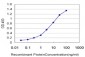 CD40 Antibody (monoclonal) (M01)